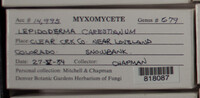 Image Associated With the Occurence
